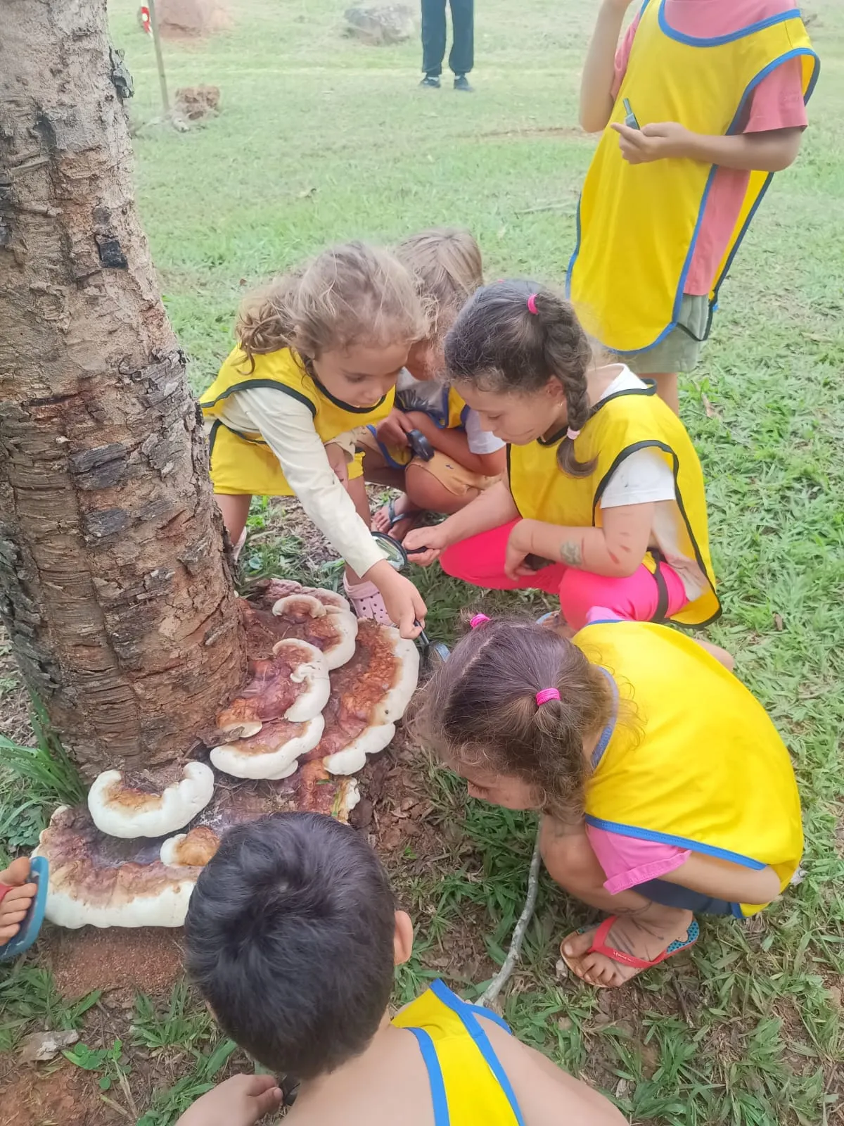 Crianças brincando na natureza no Oásis