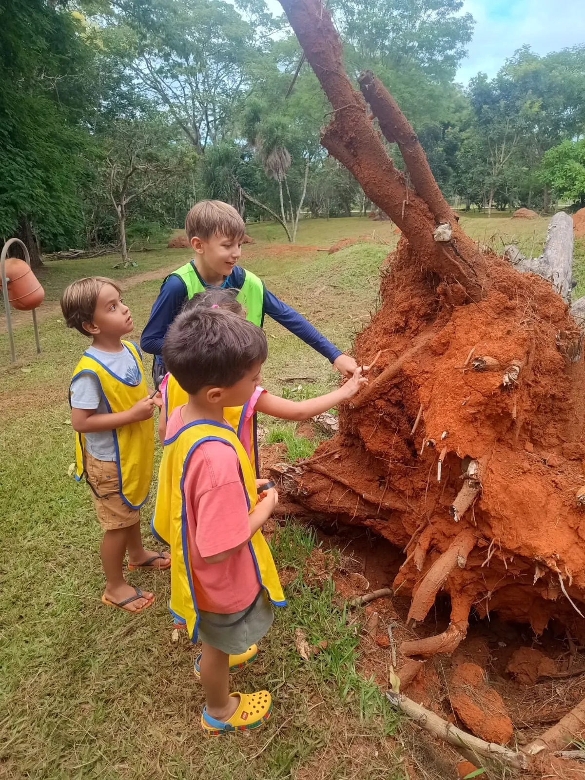 Crianças explorando raízes e natureza no Oásis